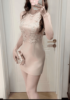 Blush Pink Lace Round Neck Ruched Waist Cutout Back Sleeveless Mini Dress - EveningVerse6
